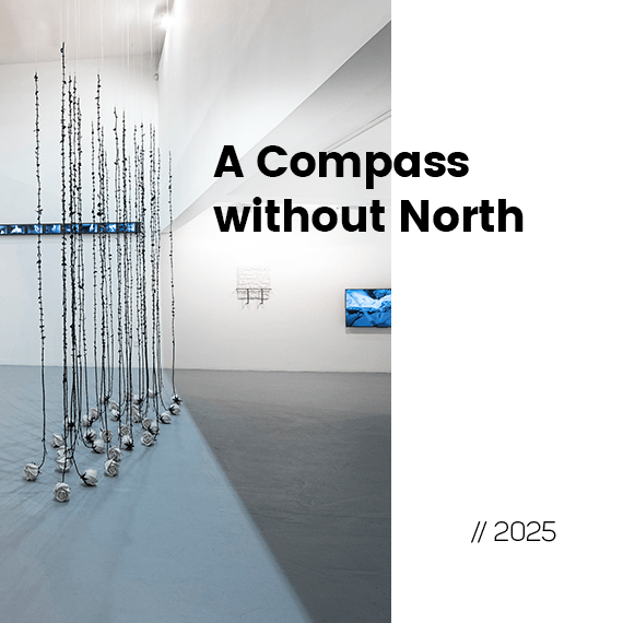 A Compass without North
